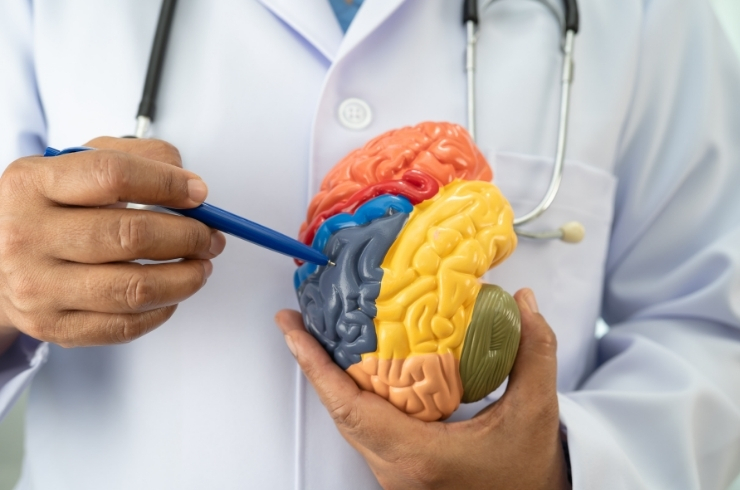 Autoimmune Brain Disorders------34