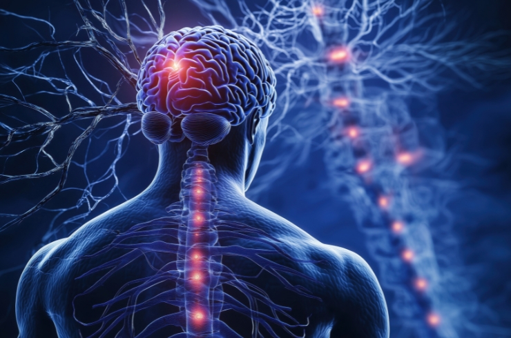 Neuromuscular Disorders